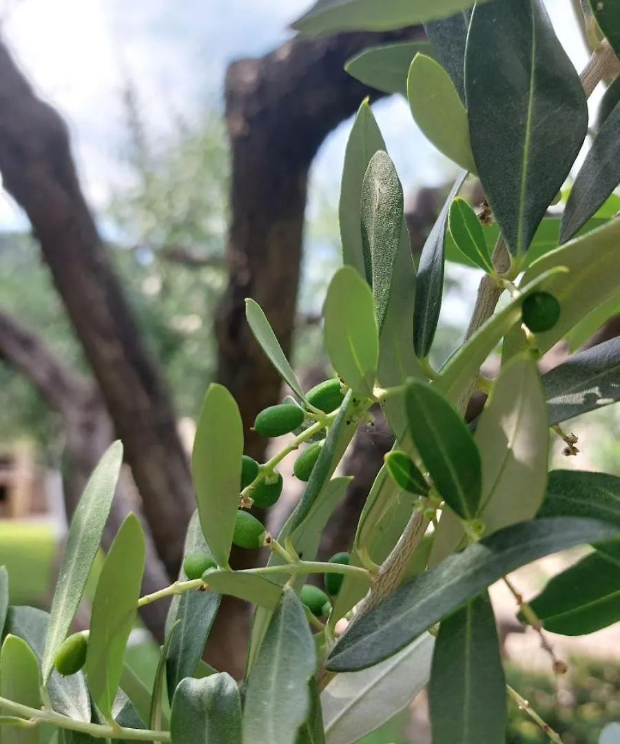 Bnb La Corte 阿菲 0*,  意大利