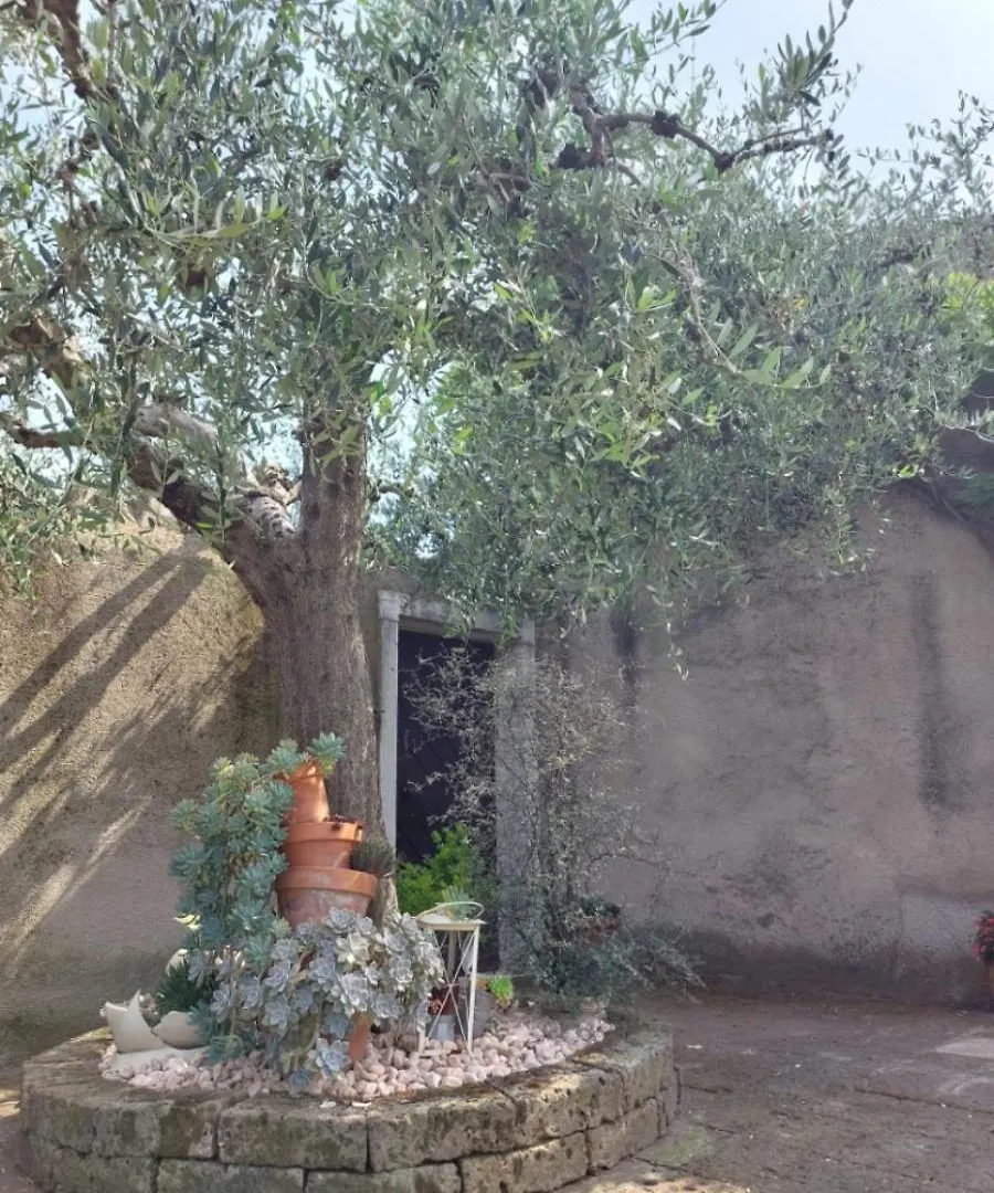 Bnb La Corte 阿菲